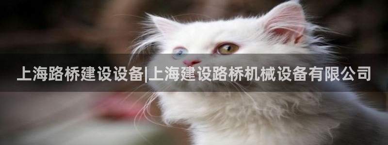 九游会老哥俱乐部必备的交流社区论坛