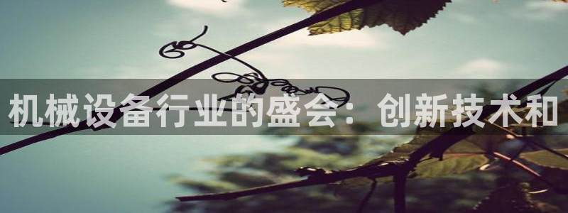 九游会ag平台
