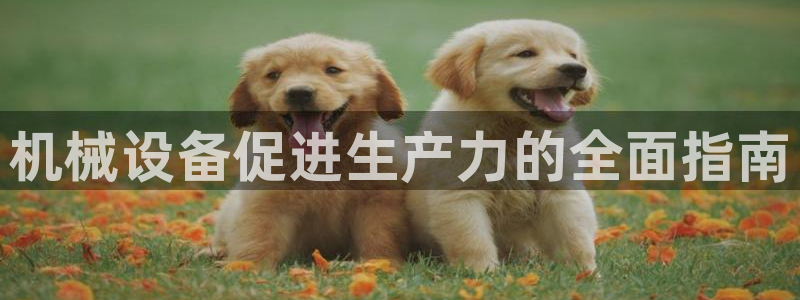 九游会直营