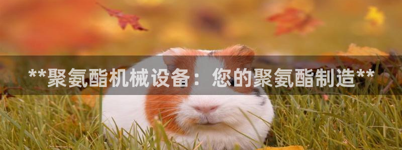 九游会官网登录中心入口