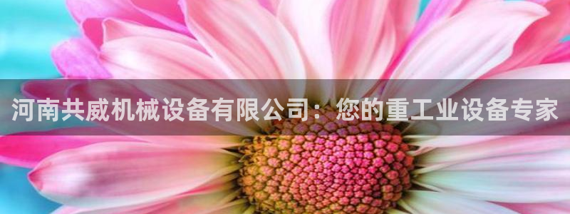 九游会首页登陆