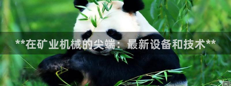 九游会老哥俱乐部官网首页