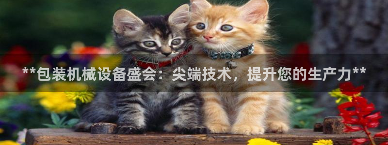 九游会官网页