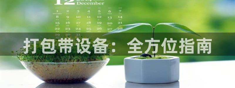 九游会官网ag旧版