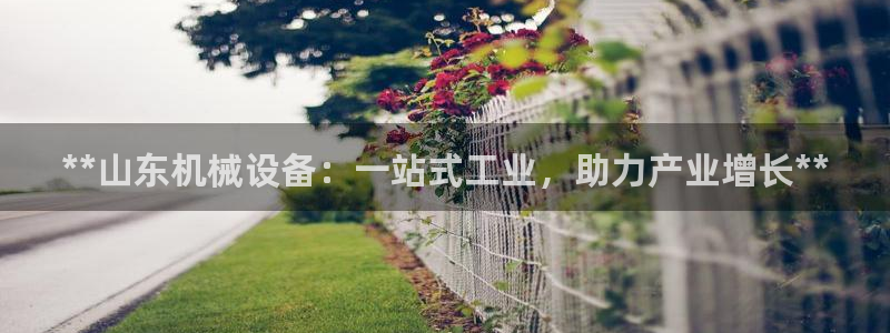 九游会官网入口ag亚洲