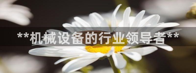 九游j9打不开