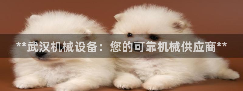 九游会官网下载最新版