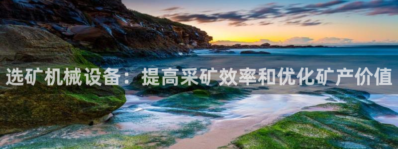九游会平台j9