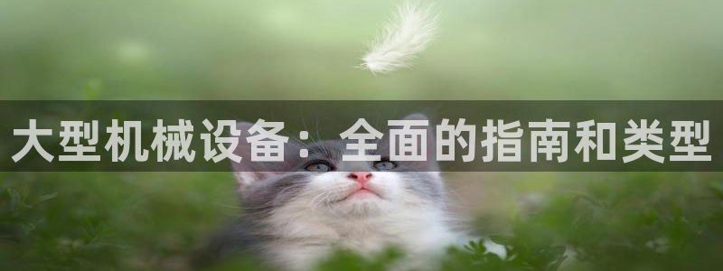 usdt九游会老哥俱乐部