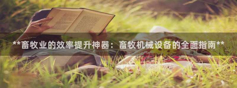 九游会ag入口