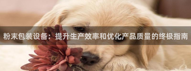 九游会官网登录网址