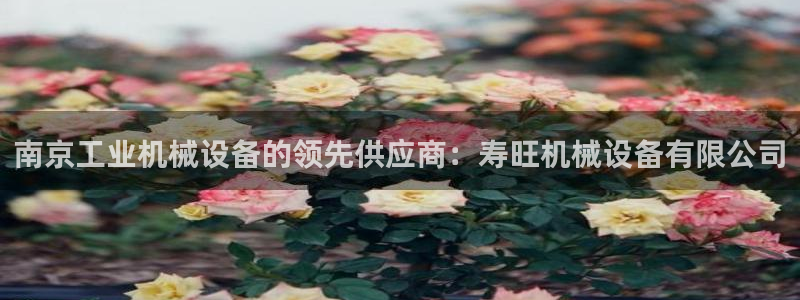 ag九游老哥俱乐部
