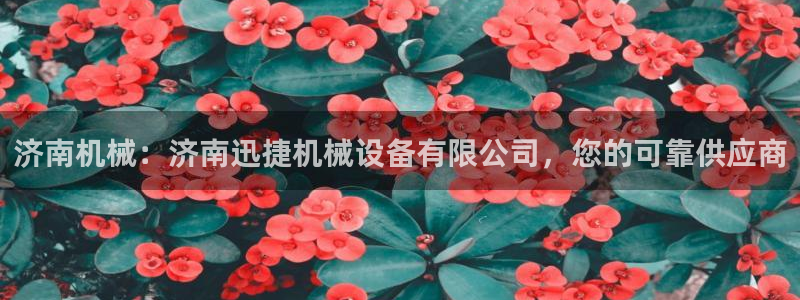 九游会个人中心登录页面