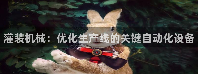 ag久游