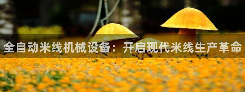 九游会老哥俱乐部官网