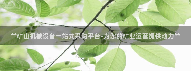 九游会官网首页