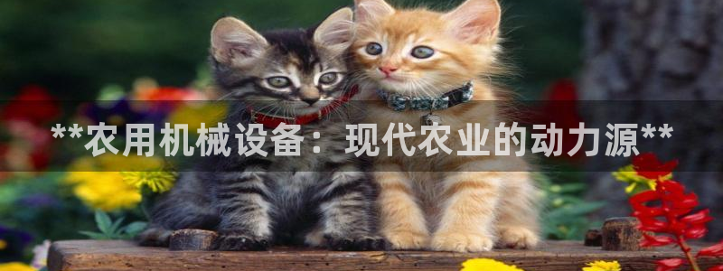 九游会游戏登录