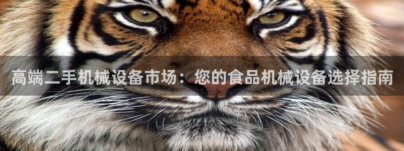 J9九游会app