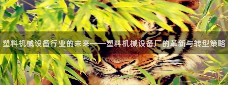 九游会ag登入