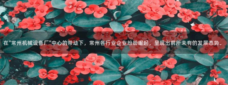 九游会游戏官网网页版