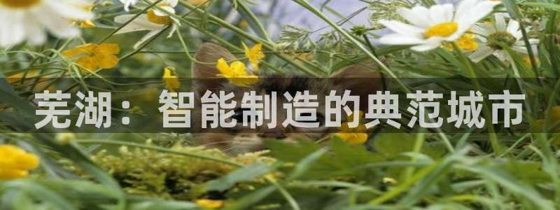 九游会官网入口