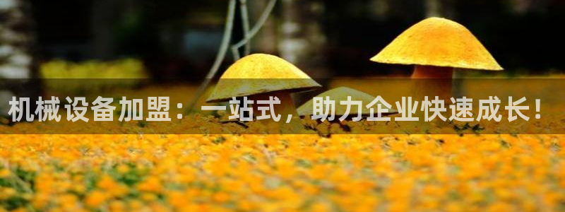 九游会是真的吗