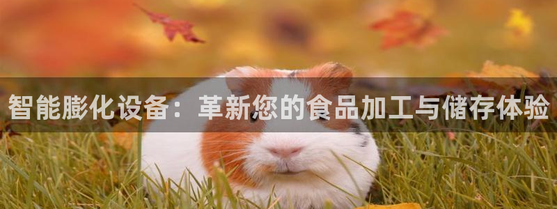 ag九游会论坛