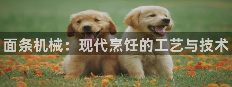 九游会老哥俱乐部论坛版