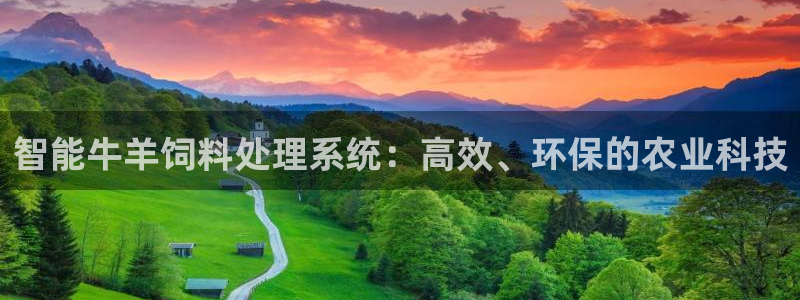 九游会j9