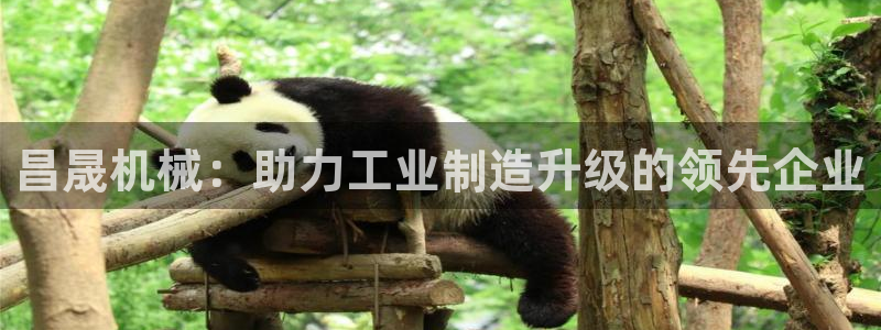 九游会官方首页登录