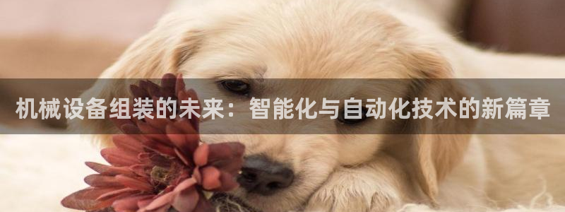九游会老哥俱乐部官网