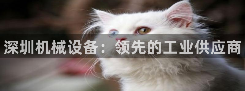 j9九游会真人第一品牌