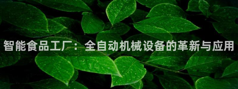 九游会官方旗舰店：智