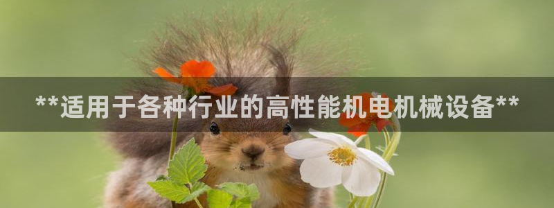 九游j9打不开
