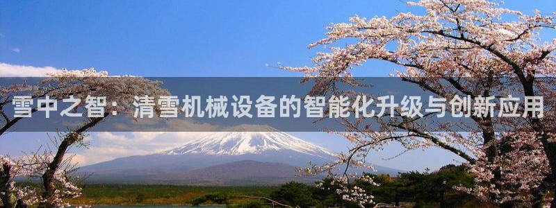 九游j9会