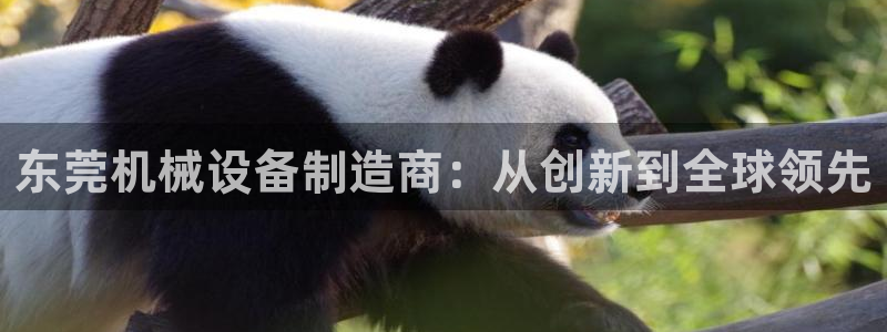 J9九游会国际站