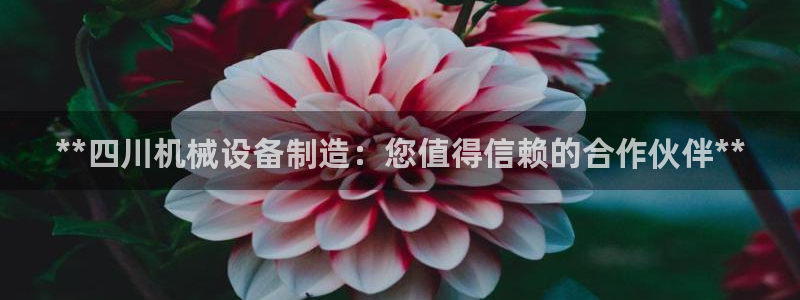 ag九游会登录j9入口