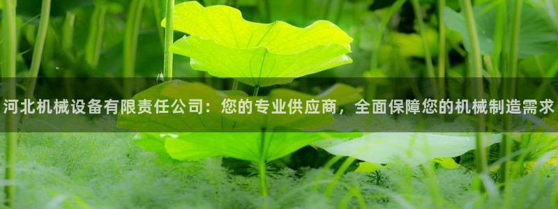 九游会AG登录入口