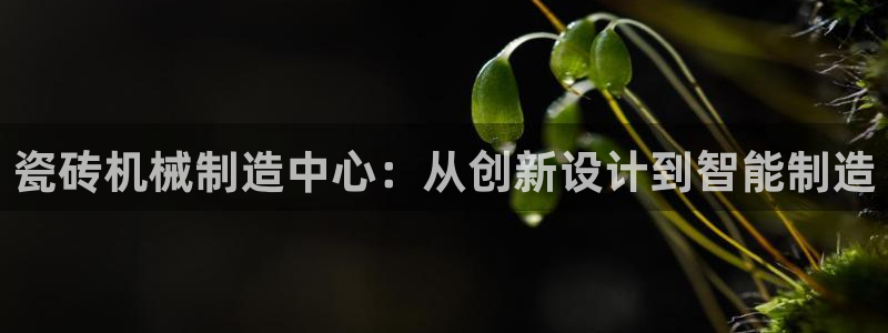 九游会登陆地址