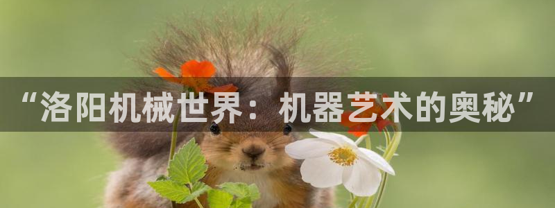 j9九游会官方网站国际