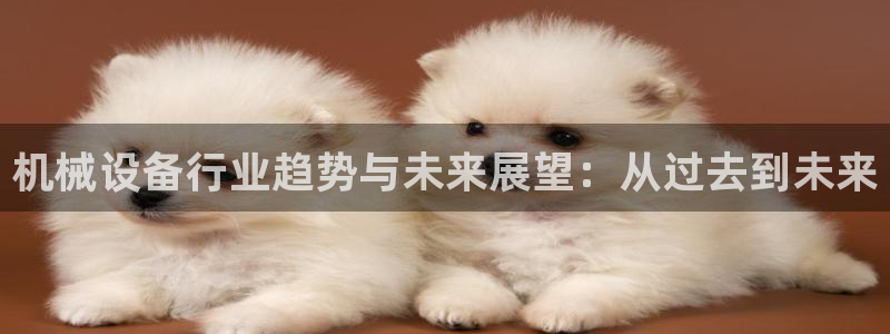 j9九游会备用网址