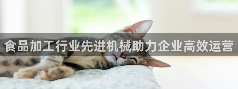 j9九游会真人游戏第